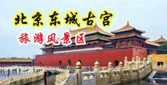 日本人体操嫩b中国北京-东城古宫旅游风景区